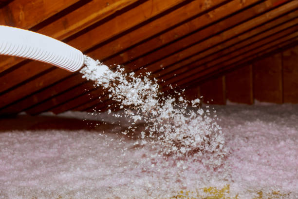 Best Insulation Contractors for Homes  in Citrus Hills, FL