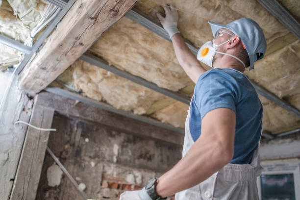 Best Insulation Repair Services  in Citrus Hills, FL
