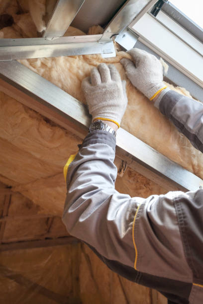 Best Local Insulation Services  in Citrus Hills, FL