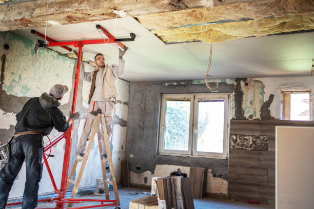 Best Insulation for New Construction  in Citrus Hills, FL