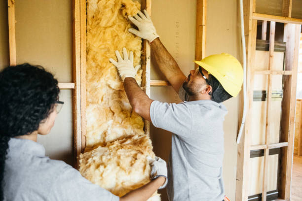 Best Crawl Space Insulation  in Citrus Hills, FL